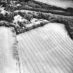 Ford, enclosure: oblique air photograph