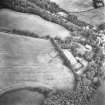 Ford, enclosure: oblique air photograph