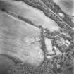 Ford, enclosure: oblique air photograph