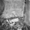 Ford, enclosure: oblique air photograph