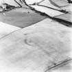 The Chesters, Borthwick, oblique aerial view taken from the E, centred on the cropmarks of a settlement.