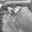 Ford, enclosure: oblique air photograph