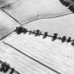 Woodhead, oblique aerial view, taken from the NE, centred on the cropmarks of the N corner of a Roman enclosure.