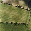 Oblique aerial view centred on the cropmarks of the Roman enclosure, taken from the SW.