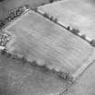 Oblique aerial view centred on the cropmarks of the Roman enclosure, taken from the SSW.