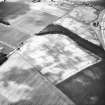 Eastfield, Inveresk: oblique air photograph of pit-alignment, enclosure, cultivation remains and cropmarks