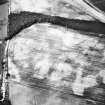 Eastfield, Inveresk: oblique air photograph of pit-alignment, enclosure, cultivation remains and cropmarks