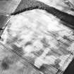 Eastfield, Inveresk: oblique air photograph of pit-alignment, enclosure, cultivation remains and cropmarks