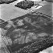 East Field, Inveresk: oblique air photograph of pit-alignment, enclosure, cultivation remains and cropmarks