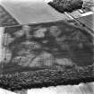 East Field, Inveresk: oblique air photograph of pit-alignment, enclosure, cultivation remains and cropmarks