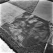 East Field, Inveresk: oblique air photograph of pit-alignment, enclosure, cultivation remains and cropmarks