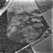 East Field, Inveresk: oblique air photograph of pit-alignment, enclosure, cropmarks and cultivation  remains