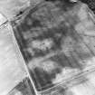 East Field, Inveresk: oblique air photograph of enclosure, cropmarks, cultivation remains and pit alignment.