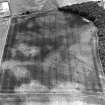 East Field, Inveresk: oblique air photograph of pit-alignment, enclosure, cropmarks and cultivation  remains