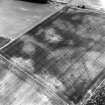 East Field, Inveresk: oblique air photograph of pit-alignment, enclosure, cropmarks and cultivation  remains