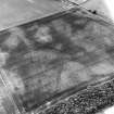 East Field, Inveresk: oblique air photograph of enclosure, cropmarks, culitvation remains and pit alignment.