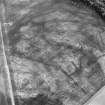 East Field, Inveresk: oblique air photograph of palisaded homestead, enclosures, ring-ditches and pit alignment.