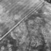 Eastfield, Inveresk: oblique air photograph of palisaded homestead, enclosure, ring-ditches and pit-alignment