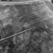 East Field, Inveresk: oblique air photograph of palisaded homestead, enclosure, ring-ditches and pit alignment.