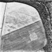 Eastfield, Inveresk: oblique air photograph of palisaded homestead, enclosures and pit-alignment