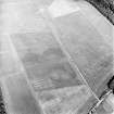 Oblique aerial view centred on the cropmarks of the palisaded enclosure, cropmarks, cultivation remains and possible ring-ditches, taken from the W.