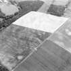 East Field, Inveresk and Castlesteads: oblique air photograph of pit-alignments, enclosure, homestead, cultivation remains and cropmarks
