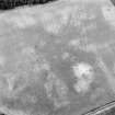 East Field, Inveresk: oblique air photograph of pit-alignment, enclosure, cropmarks and cultivation  remains