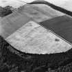 East Field, Inveresk: oblique air photograph of enclosures, homestead and pit alignment.
