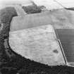 East Field, Inveresk: oblique air photograph of enclosures, homestead and pit alignment.