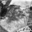 East Field, Inveresk: oblique air photograph of pit-alignment, enclosure, cropmarks and cultivation  remains