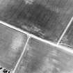 Barbachlaw, oblique aerial view, taken from the N, centred on cropmarks which include those of an enclosure, a possible enclosure, and cultivation remains.