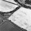 South Lodge, oblique aerial view, taken from the ESE, centred on a series of cropmarks including a possible enclosure.