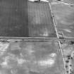 South Lodge and Prestongrange Crossing, oblique aerial view, taken from the NNW, centred on cropmarks including those of enclosures and pits.
