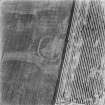 Howe Mire, settlement and cropmarks: oblique air photograph