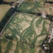 Oblique aerial view of Philip Haugh Settlement.