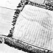 Philip Haugh, oblique aerial view taken from the NW, centred on the cropmarks of a settlement.