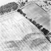 Philip Haugh, oblique aerial view taken from the SE, centred on the cropmarks of a settlement.