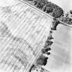 Philip Haugh, oblique aerial view taken from the SW, centred on the cropmarks of a settlement.