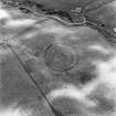 Huntly Burn, oblique aerial view, taken from the WNW, centred on the cropmarks of two settlements, and an area of rig and furrow cultivation.