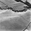 Lindean, oblique aerial view, taken from the NNE, centred on the cropmark of a settlement.