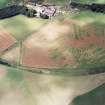 Oblique aerial view of Caddonlee centred on the cropmarks of two enclosures with the village adjacent, taken from the SE.