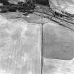 Cortleferry, oblique aerial view, taken from the NNE, centred on the cropmarks of a palisaded enclosure and settlement.