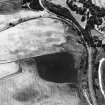 Cortleferry, palisaded enclosure and palisaded settlement: air photograph.
