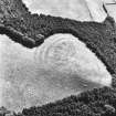 Carfrae, oblique aerial view, taken from the N, centred on the cropmarks of a fort.
