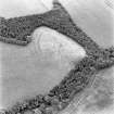 Carfrae, oblique aerial view, taken from the N, centred on the cropmarks of a fort.