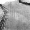 Saltoun Home Farm, oblique aerial view, taken from the SE, centred on the cropmarks of an enclosure and a pit-alignment.