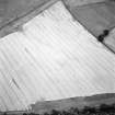 Keith Hill, oblique aerial view taken from the NNE, centred on the cropmarks of a settlement.