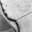 Oblique aerial view centred on the cropmarks of the ring-ditch and possible enclosure, taken from the SSE.