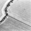 Oblique aerial view of Southfield centred on the cropmarks of an enclosure with a possible enclosure and indeterminate cropmarks adjacent, taken from the ESE.