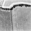 Oblique aerial view of Southfield centred on the cropmarks of an enclosure with a possible enclosure and indeterminate cropmarks adjacent, taken from the NE.